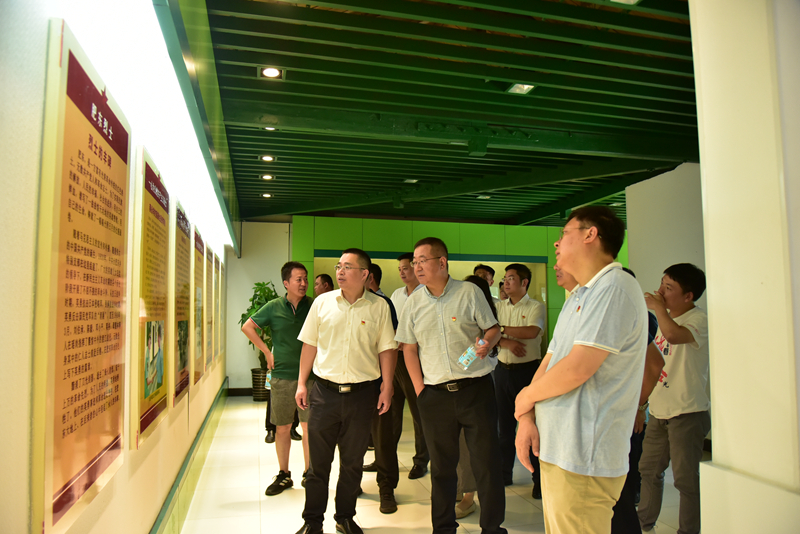 市政分公司黨總支、合肥市重點(diǎn)局直屬黨委第二黨支部聯(lián)合開展主題黨日活動(dòng)3