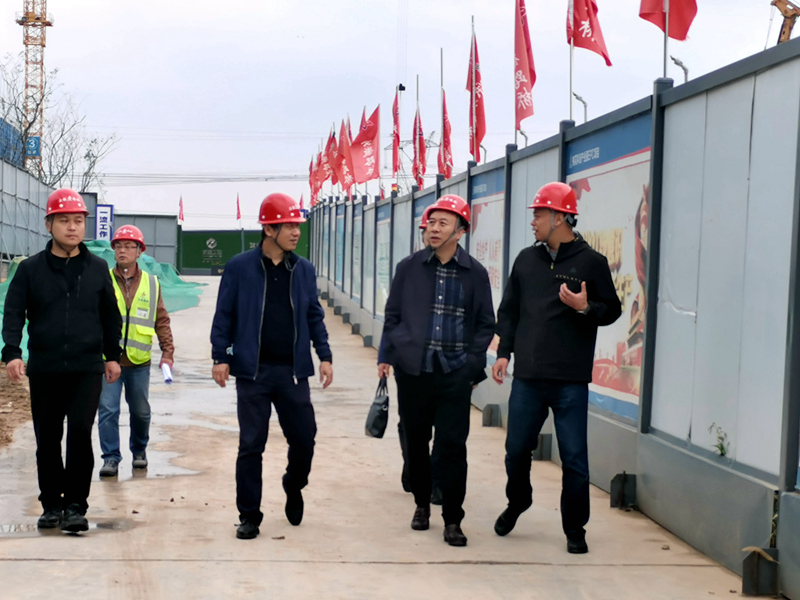 建工控股黨委委員、紀委書記、監(jiān)察專員王汪苗到桃花科創(chuàng)產(chǎn)業(yè)園項目調(diào)研督導工作3