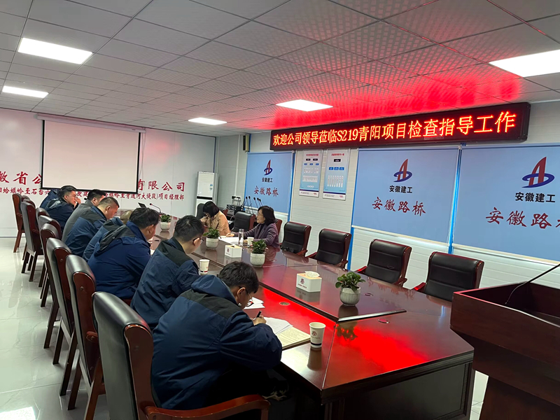 公司黨委委員、紀委書記王鵬到S219青陽改建項目調(diào)研指導工作